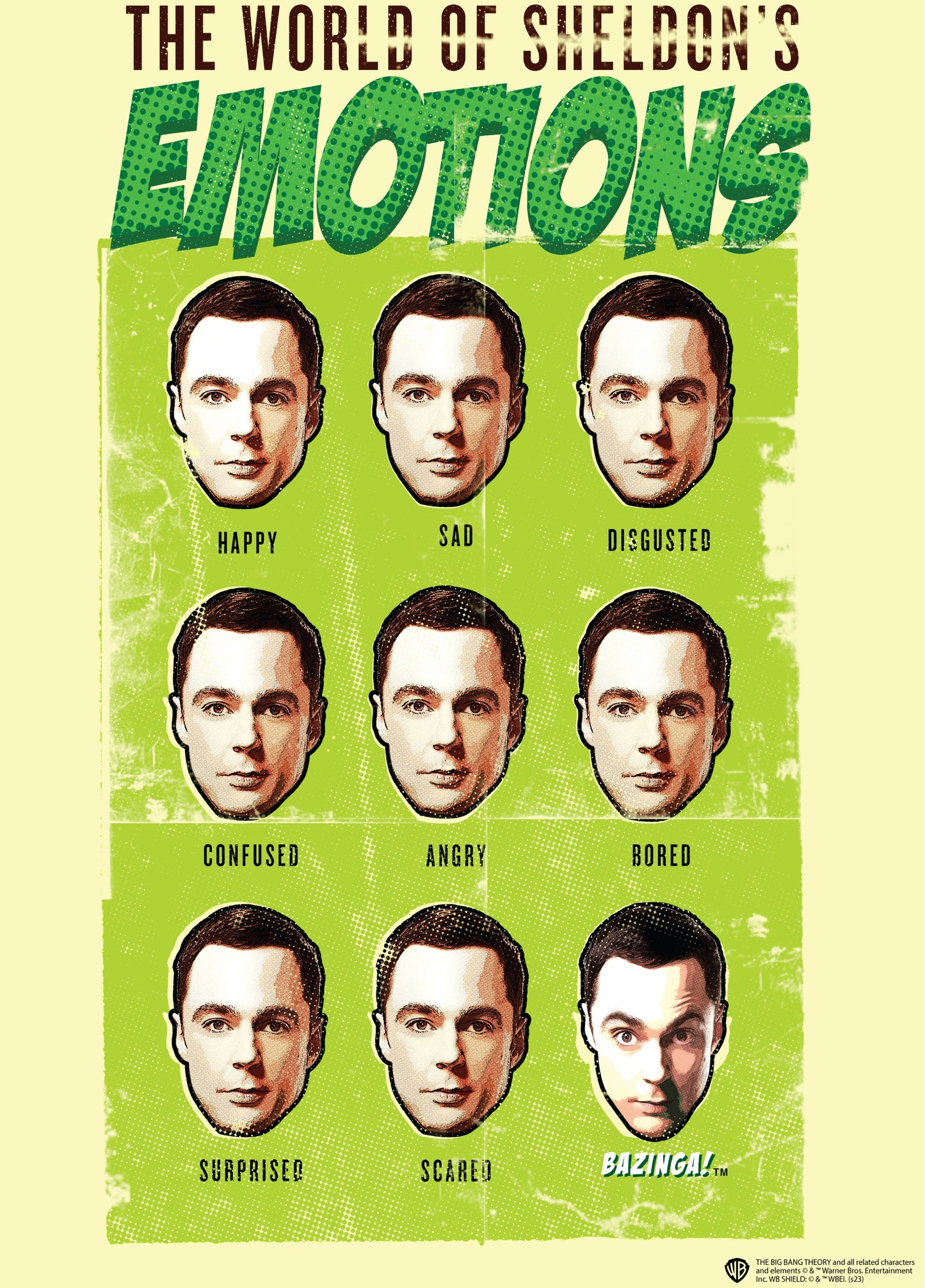 Sheldon's Emotions Poster #31
