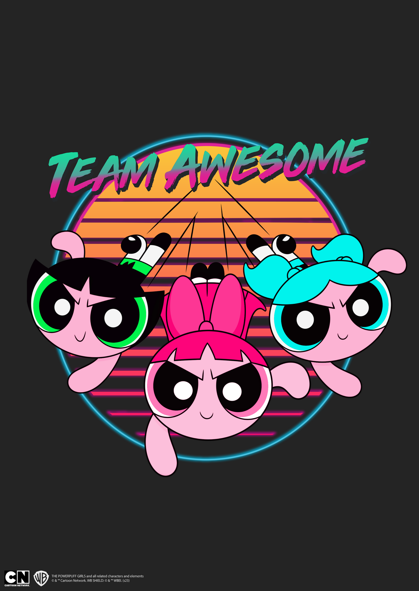 Powerpuff Girls Poster #72