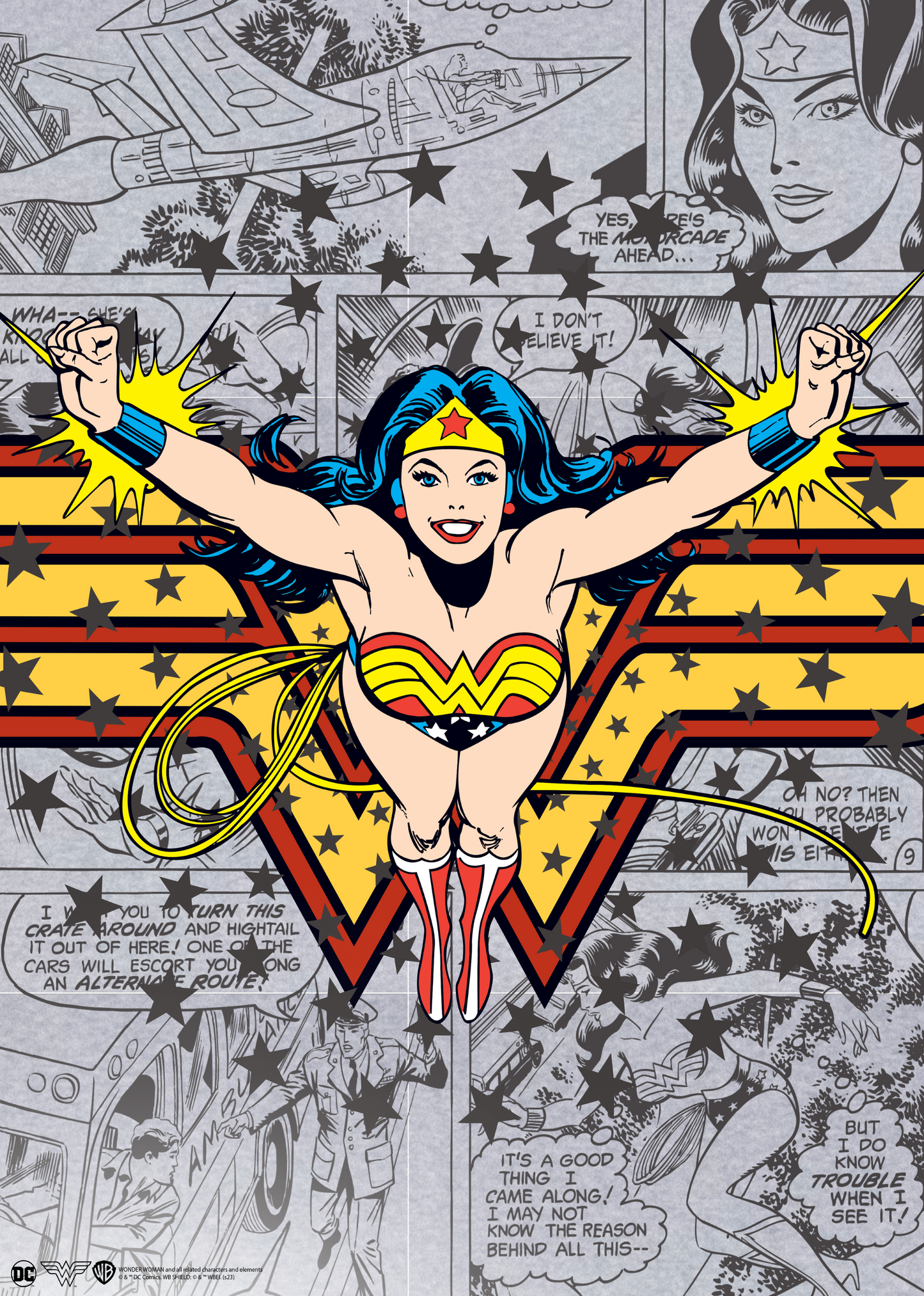 Wonder Woman Poster #83