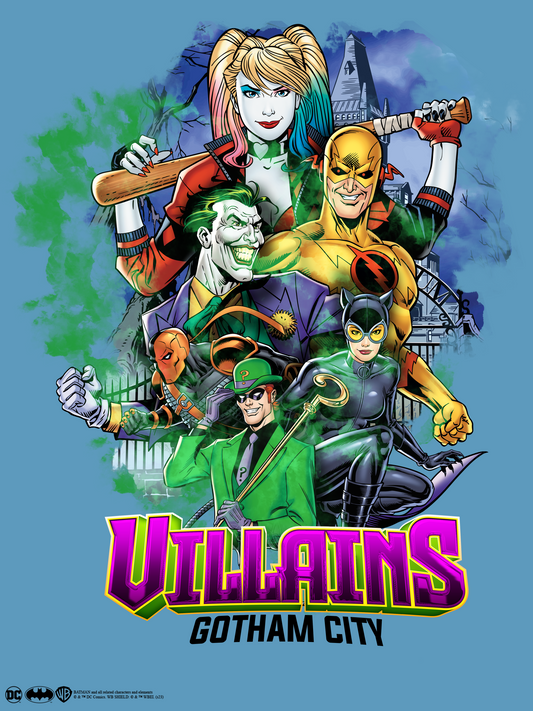 Gotham City Villains Poster #