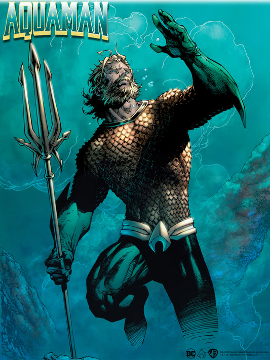 Aquaman Poster #21