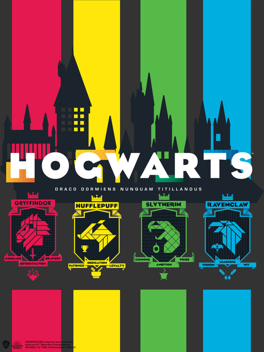 Harry Potter Hogwarts houses Poster #38