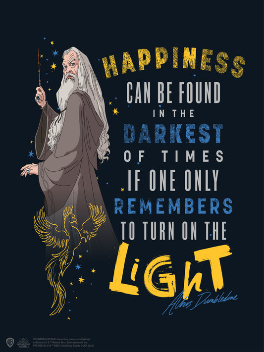 Harry Potter Dumbledor quote Poster #23