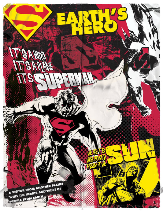 Superman Earth's Hero Vinyl Sticker