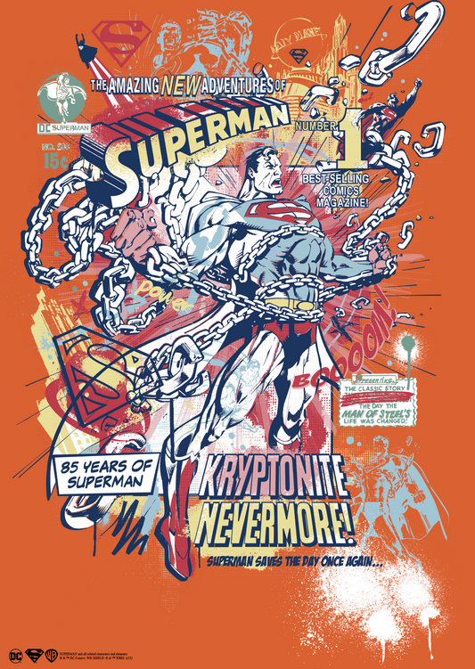 Superman Poster #88
