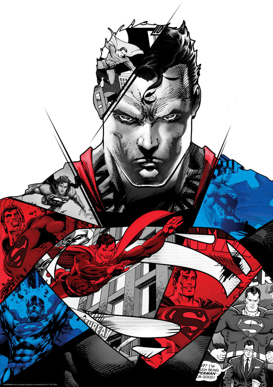 Superman Blue & Red Poster #67