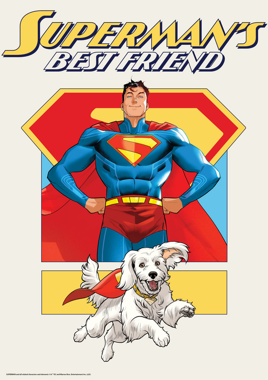 Poster Superman Movie Take Me Home Best Friend